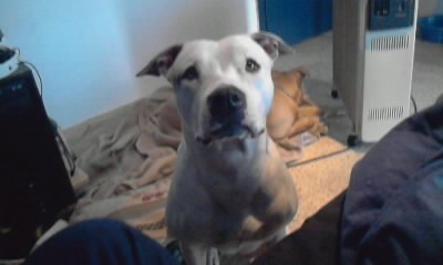 La mas wapaaa! La mas wapaaa!